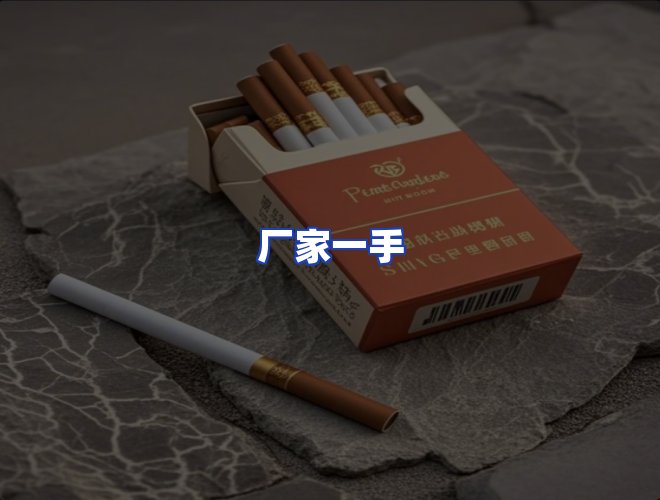专业团队